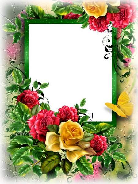 Photo frames software, free download for windows 7